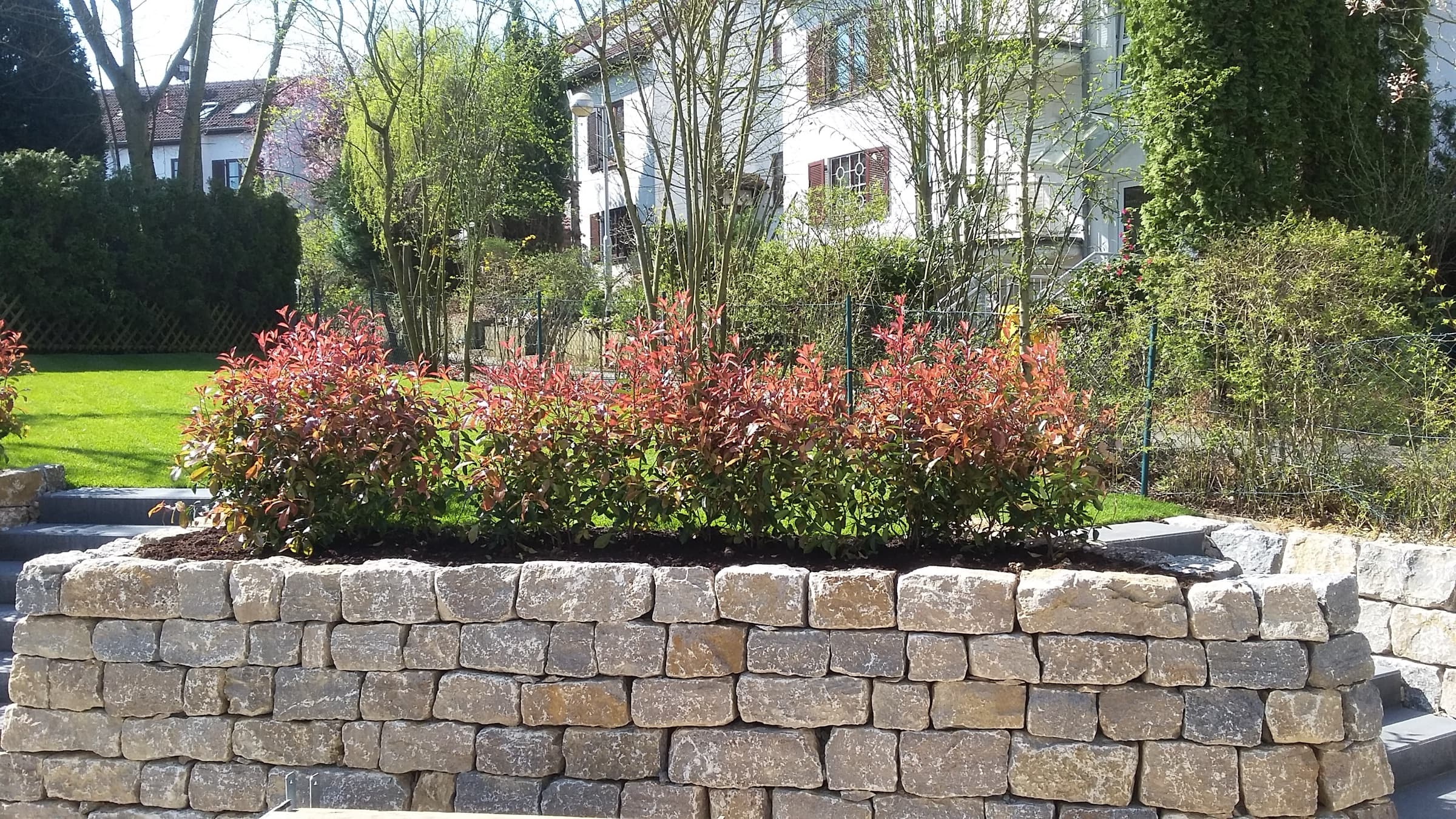Natursteinmauer mit Hochbeet und Glanzmispeln